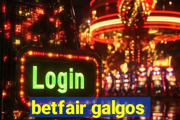 betfair galgos